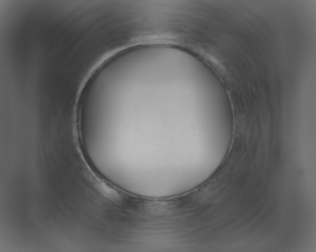 X0000073901470200608251444