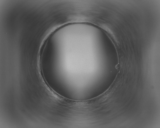 X0000073901472200608251444