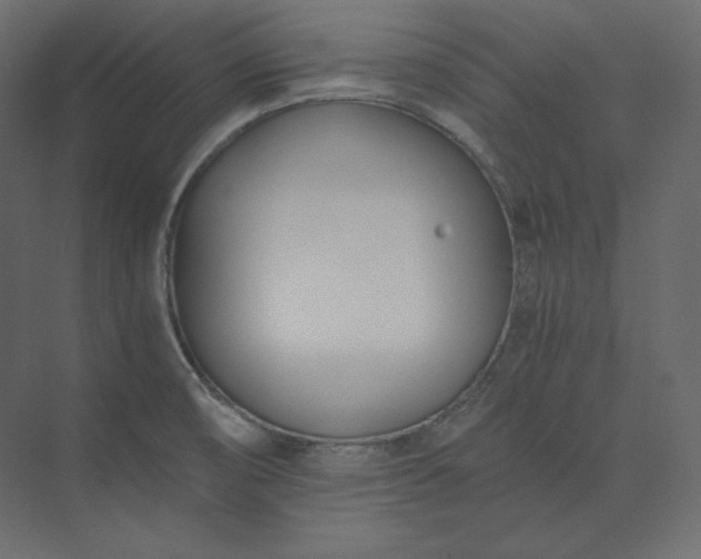 X0000073901474200608251444