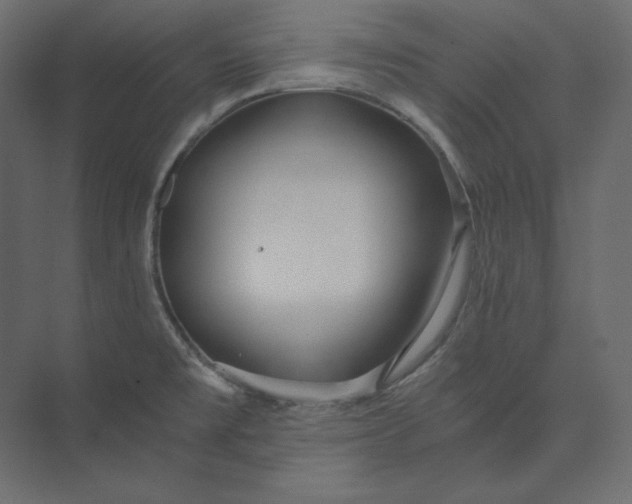 X0000073901477200608251444