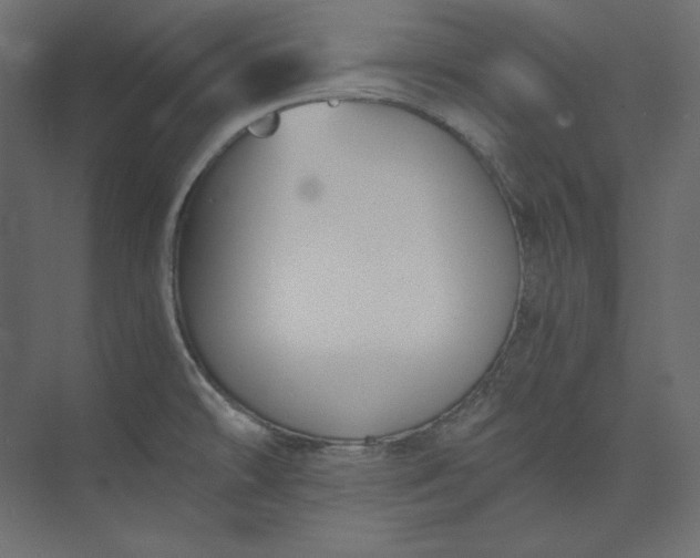 X0000073901478200608251444