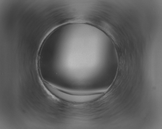 X0000073901484200608251444