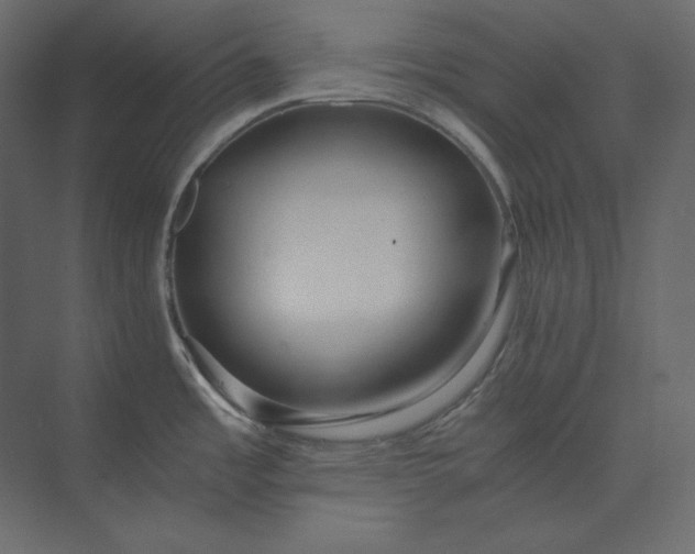 X0000073901485200608251444