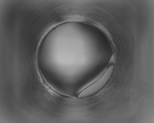 X0000073901488200608251444