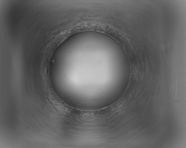 X0000073901489200608251443