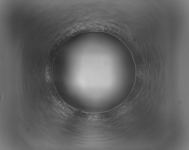 X0000073901490200608251443