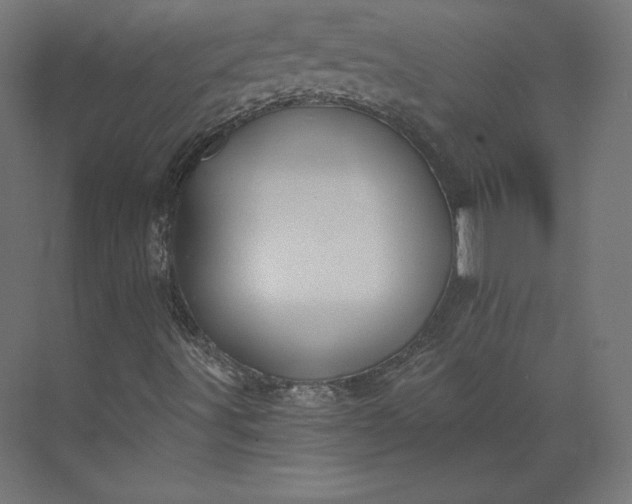 X0000073901491200608251443