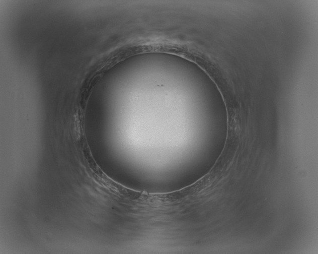 X0000073901493200608251443