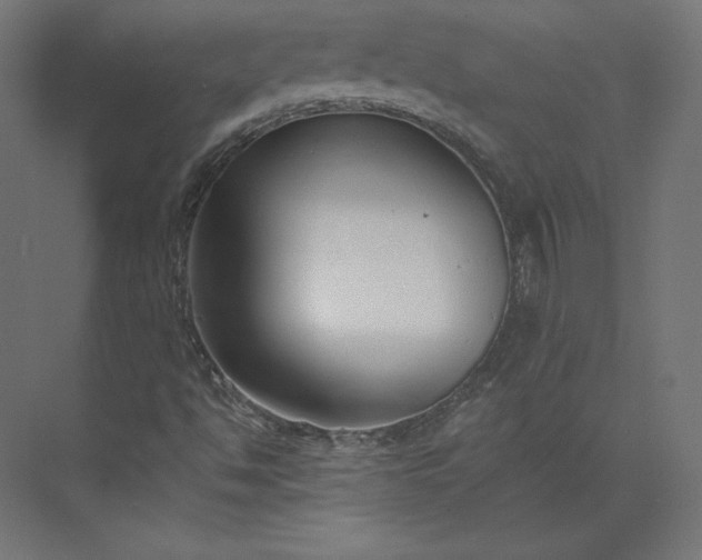 X0000073901494200608251443