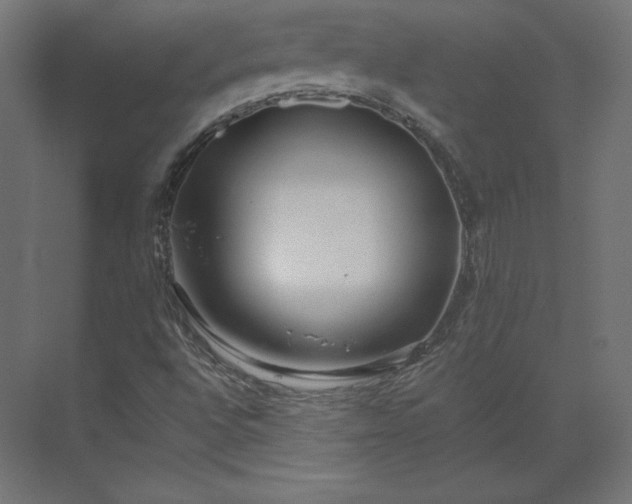 X0000073901496200608251443