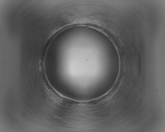 X0000073901497200608251443