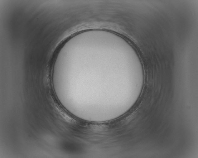 X0000073901498200608251443