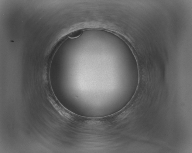 X0000073901499200608251443