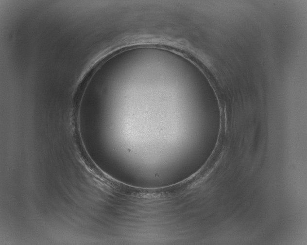 X0000073901501200608251444