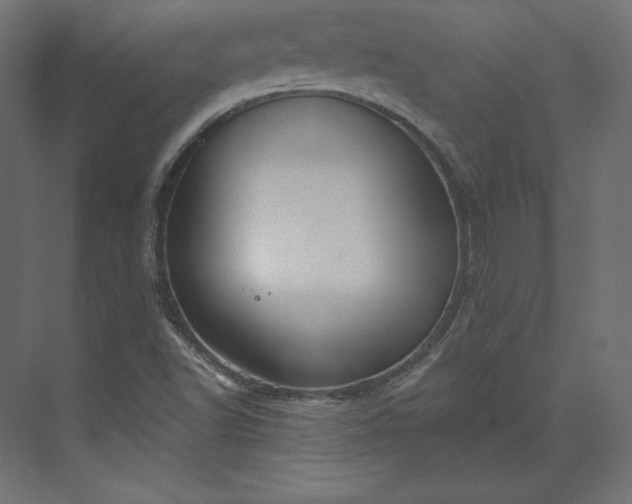 X0000073901502200608251444