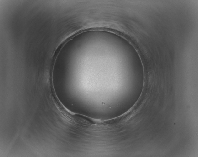 X0000073901505200608251444