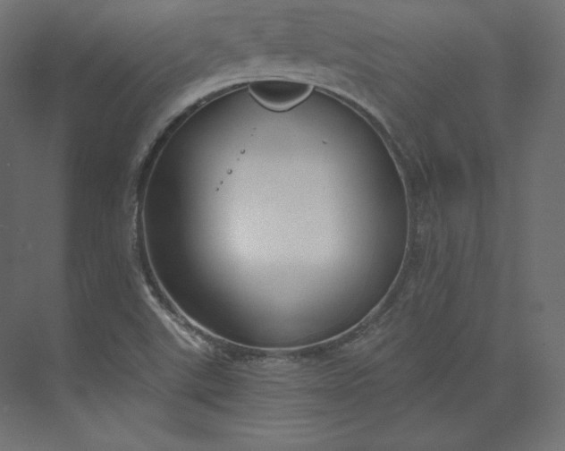 X0000073901507200608251444