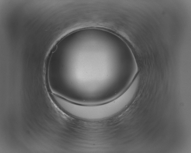 X0000073901508200608251444