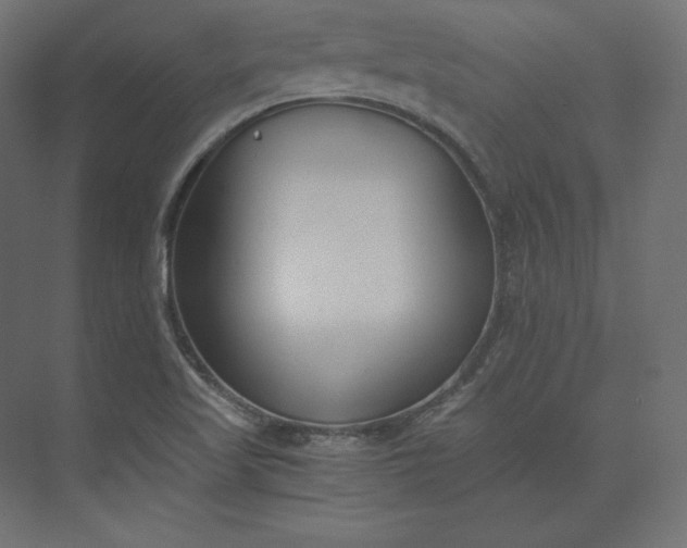 X0000073901509200608251444