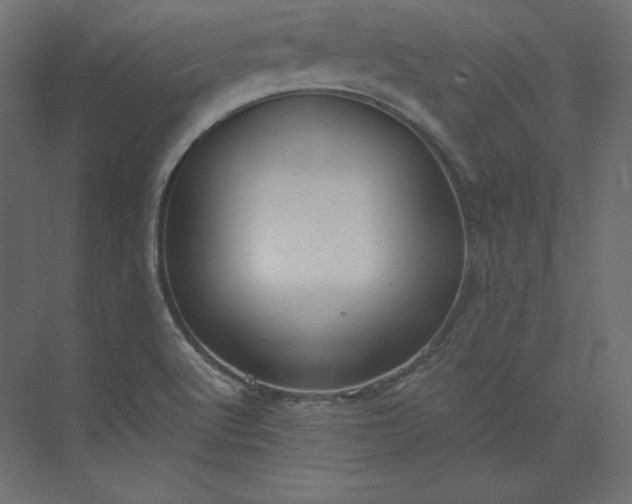 X0000073901512200608251444