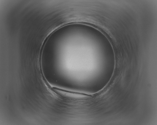 X0000073901513200608251444