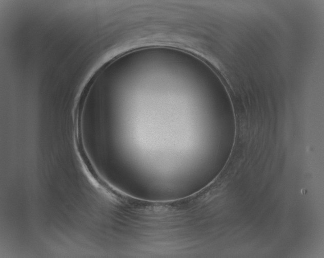 X0000073901515200608251444