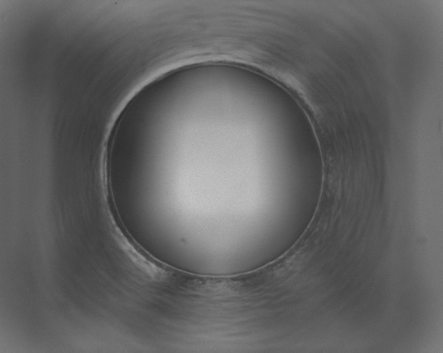 X0000073901516200608251444