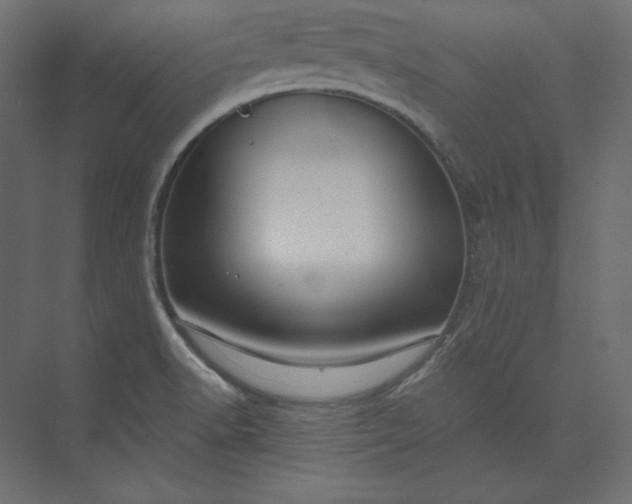 X0000073901518200608251444