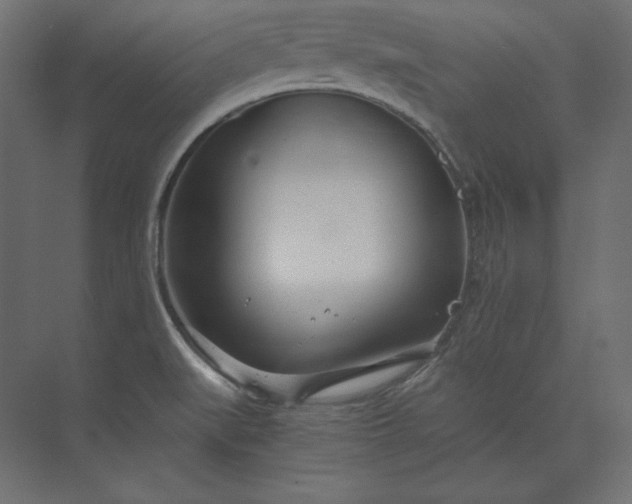 X0000073901519200608251444