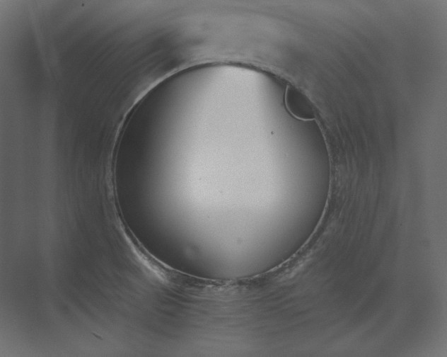 X0000073901521200608251444