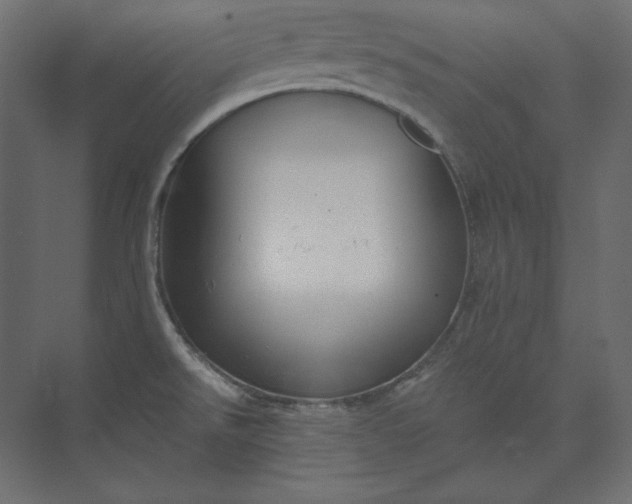 X0000073901526200608251444