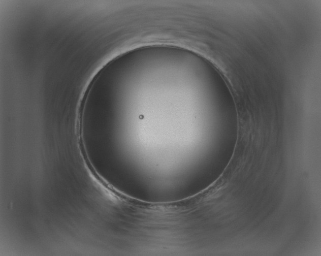 X0000073901527200608251444