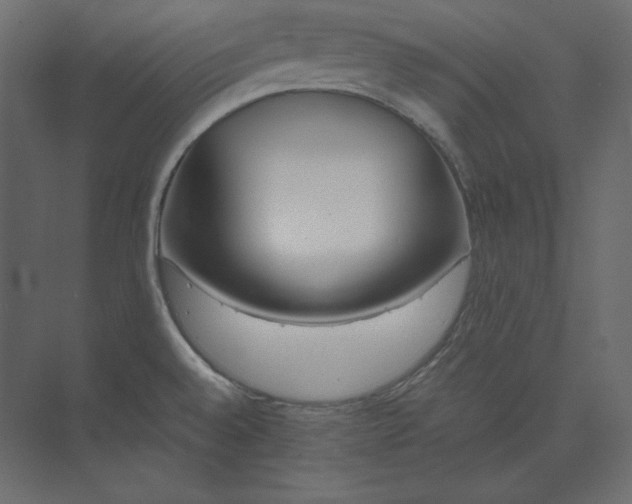 X0000073901528200608251444