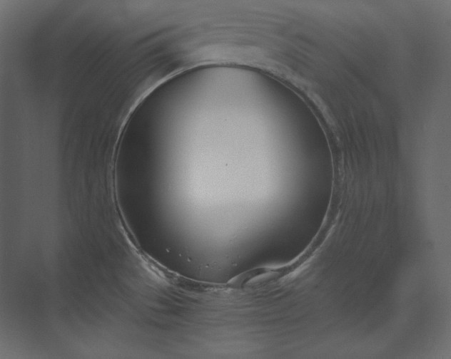 X0000073901529200608251444