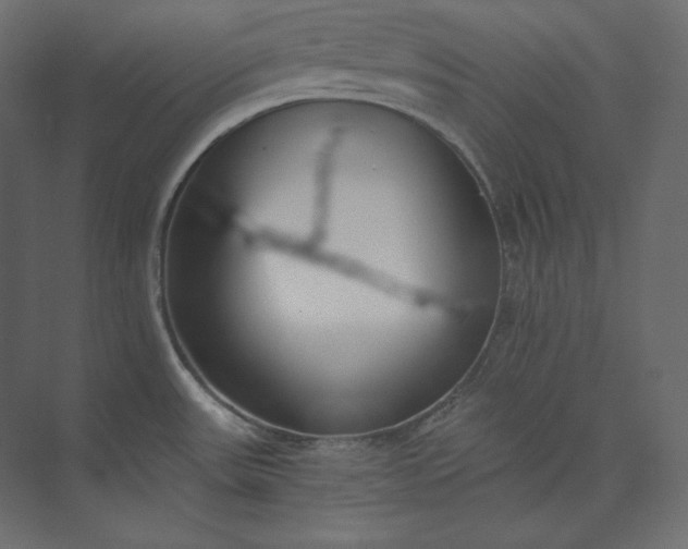 X0000073901531200608251444