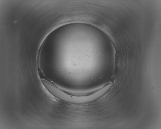 X0000073901532200608251444