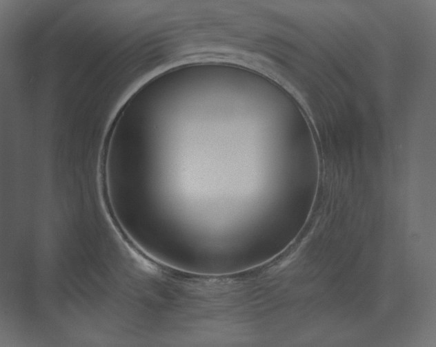 X0000073901533200608251444