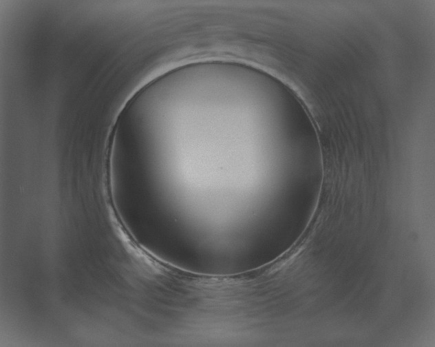 X0000073901534200608251444