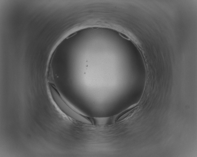 X0000073901536200608251444