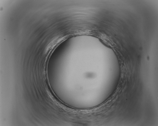 X0000073900002200609011730