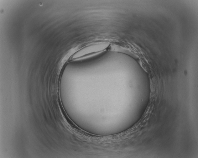 X0000073900003200609011730