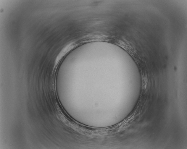 X0000073900004200609011730