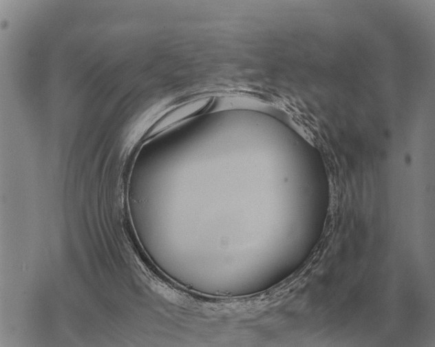 X0000073900005200609011730