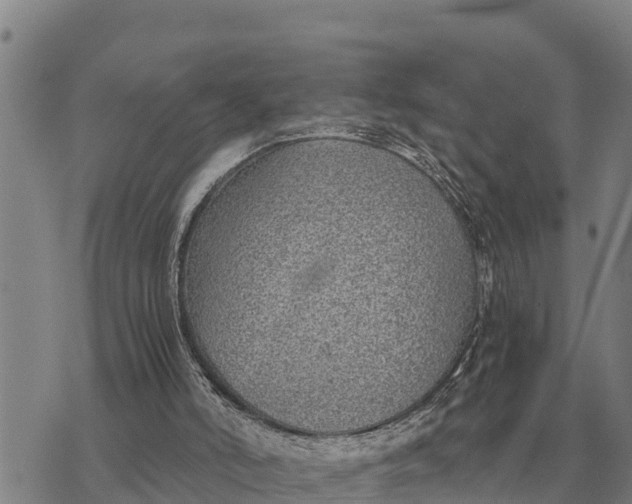 X0000073900006200609011730