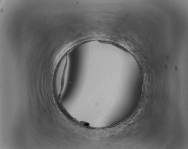 X0000073900007200609011730