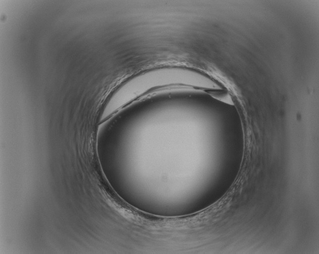 X0000073900009200609011730