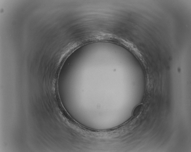 X0000073900010200609011730