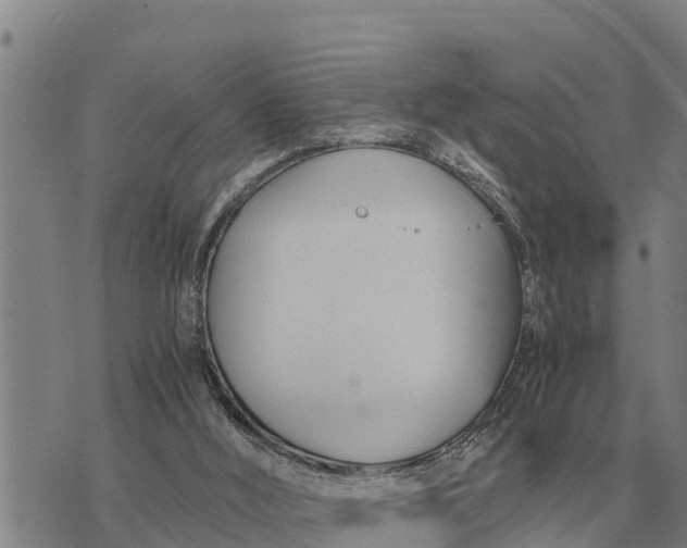 X0000073900012200609011730