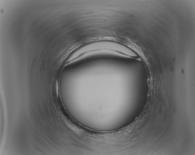 X0000073900013200609011730