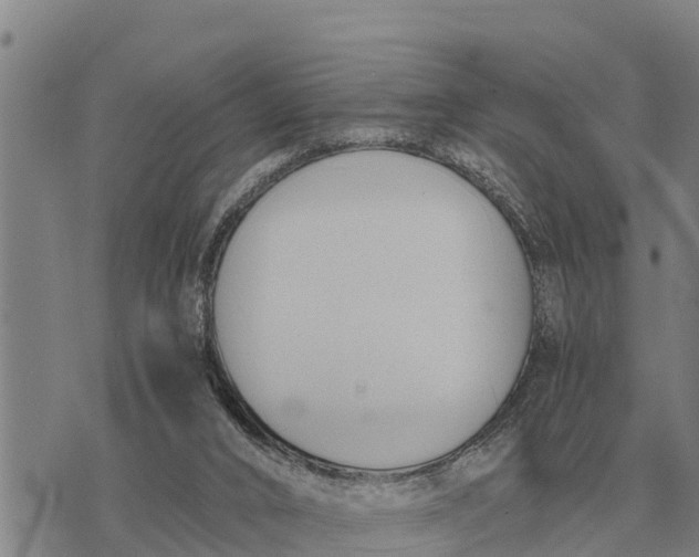 X0000073900016200609011730